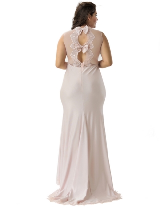 Plus Size Pink Transparent Gauze Evening Dress